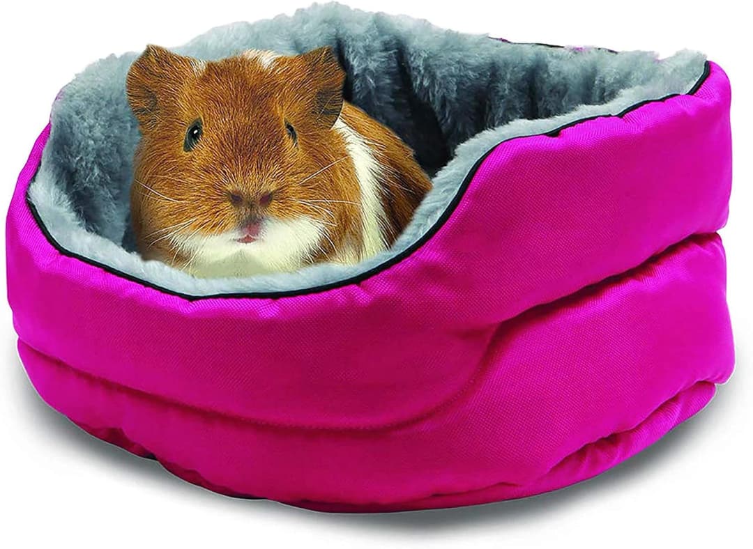 Super Sleeper Cuddle-E-Cup Bed for Guinea Pigs — Chinchilla