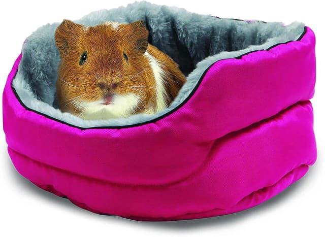 Super Sleeper Cuddle-E-Cup Bed for Guinea Pigs — Chinchilla