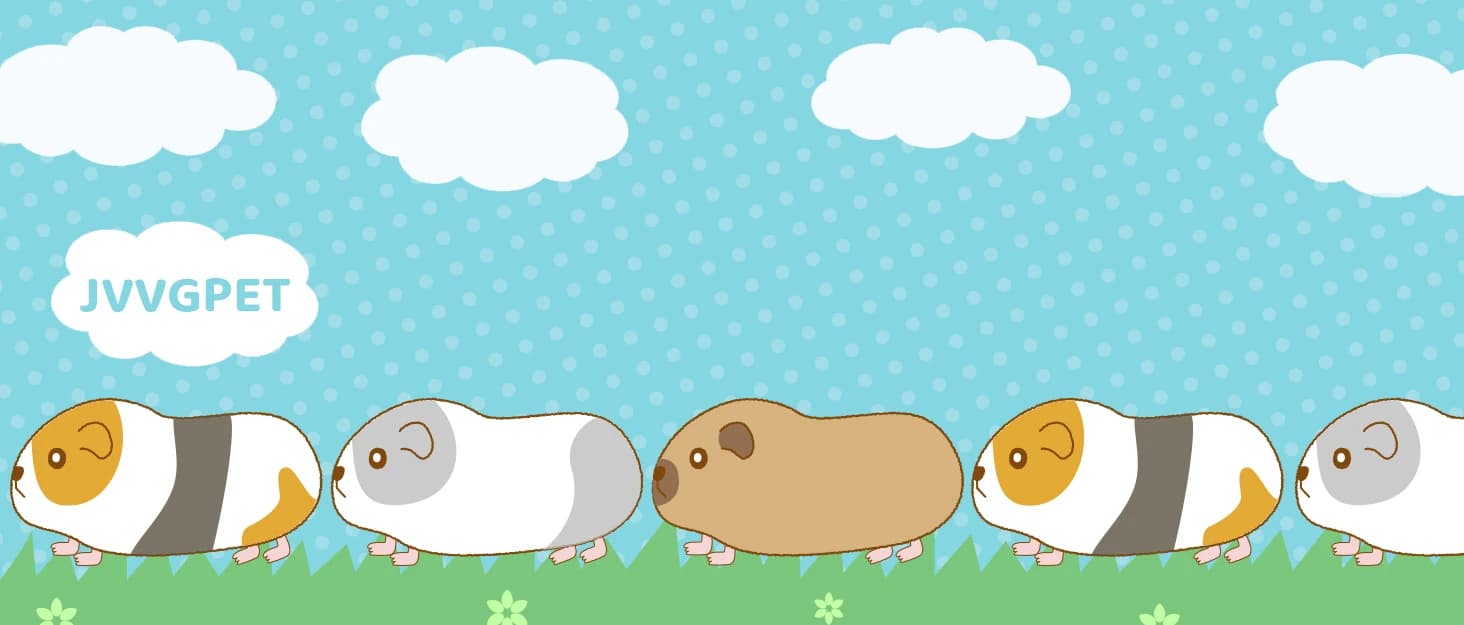 Guinea Pig Sofa Bed — Washable Soft Fleece Small Animal Sleeping Bed — collection imagery