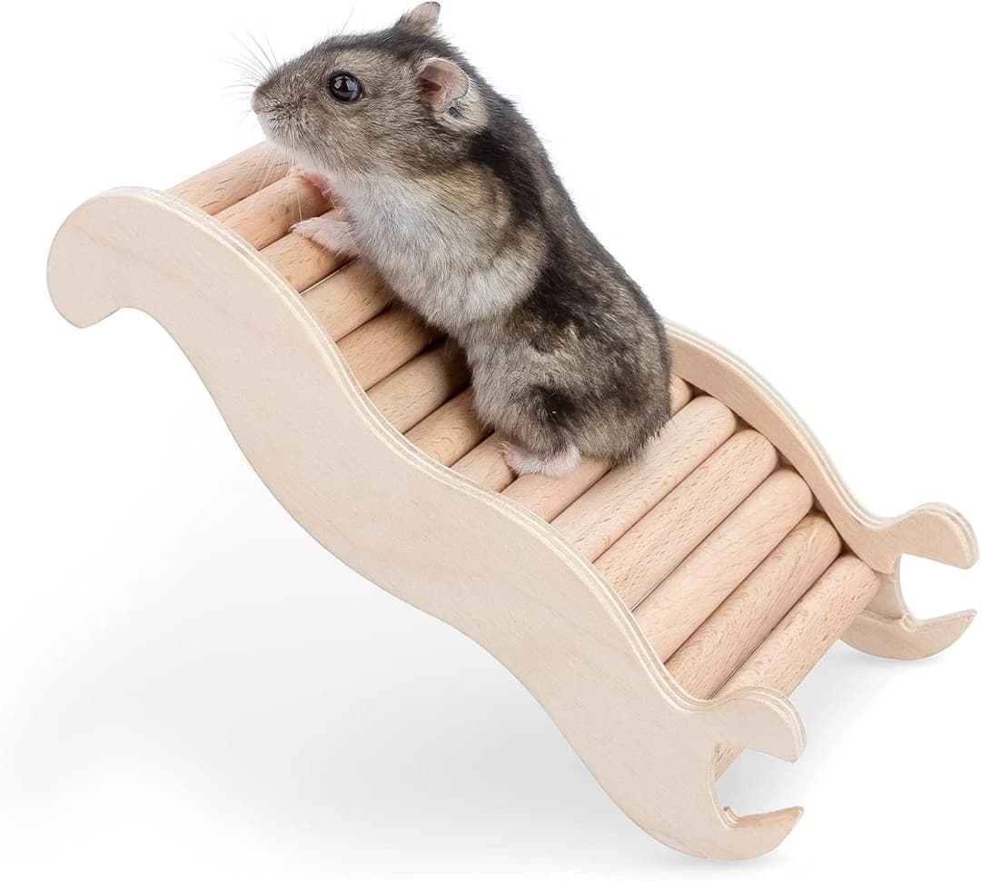 Hamster Climbing Ladder Bridge — 6.3 x 3.7 x 1.1 inch