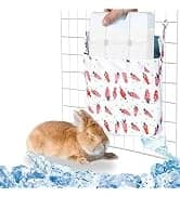Rat Climbing Rope Net Toy for Cage — Hanging Swing Toy (Random Color) — collection imagery