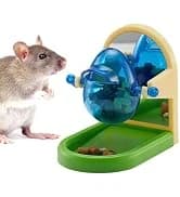 Rat Climbing Rope Net Toy for Cage — Hanging Swing Toy (Random Color) — collection imagery