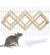 Rat Climbing Rope Net Toy for Cage — Hanging Swing Toy (Random Color) — collection imagery