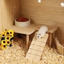 Wooden Hamster Platform for Hamster Cage Accessories Climbing Toys Dwarf Syrian Hamster Gerbil Rat Mice Degus
