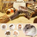 2 PCS Wooden Hamster Climbing Branches 5.9 in Natural Grapevine Syrian Hamster Chewing Toys Small Animal
