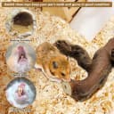 2 PCS Wooden Hamster Climbing Branches 5.9 in Natural Grapevine Syrian Hamster Chewing Toys Small Animal