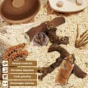 2 PCS Wooden Hamster Climbing Branches 5.9 in Natural Grapevine Syrian Hamster Chewing Toys Small Animal