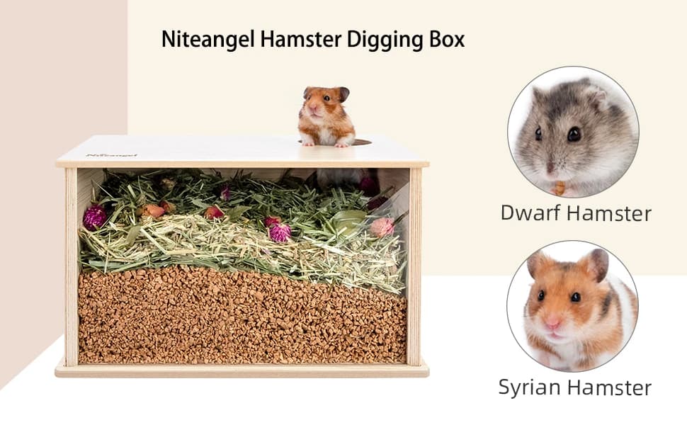 Visible Hamster Digging Box for Syrian Dwarf Roborovski Campbell Hamsters Gerbils Mice Lemmings Degus or Other — product details