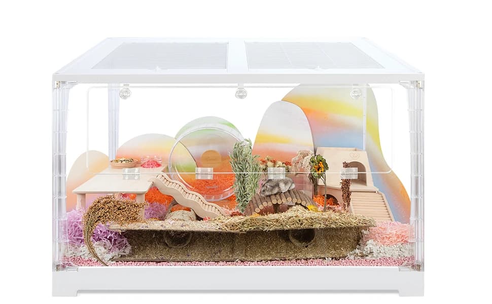 Visible Hamster Digging Box for Syrian Dwarf Roborovski Campbell Hamsters Gerbils Mice Lemmings Degus or Other — How to build the scene in the villa for your hamster？