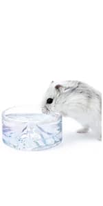 Visible Hamster Digging Box for Syrian Dwarf Roborovski Campbell Hamsters Gerbils Mice Lemmings Degus or Other — product details