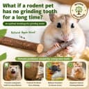 Natural Organic Apple Sticks - 250g Chew Sticks for Small Animals