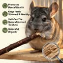 Natural Organic Apple Sticks - 250g Chew Sticks for Small Animals