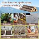 Natural Organic Apple Sticks - 250g Chew Sticks for Small Animals