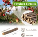 Natural Organic Apple Sticks - 250g Chew Sticks for Small Animals