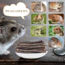 Natural Organic Apple Sticks - 250g Chew Sticks for Small Animals