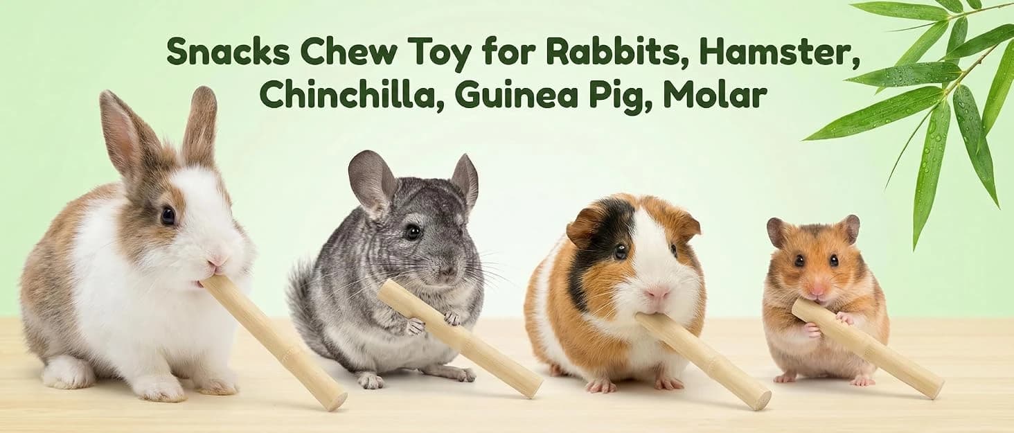 240g Rabbit Chew Sticks - Natural Sweet Bamboo Chew for Small Animals — collection imagery