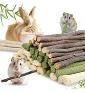 240g Rabbit Chew Sticks - Natural Sweet Bamboo Chew for Small Animals — collection imagery