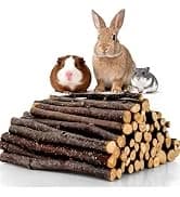 240g Rabbit Chew Sticks - Natural Sweet Bamboo Chew for Small Animals — collection imagery