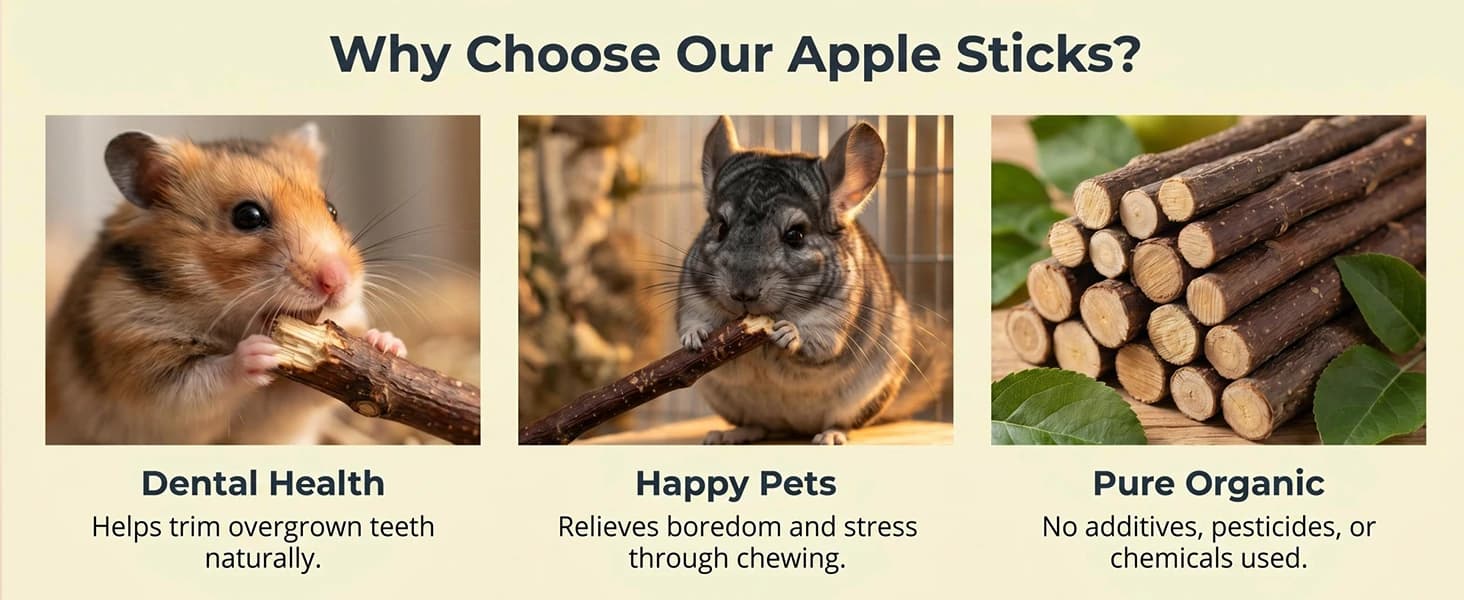 Natural Organic Apple Sticks - 250g Chew Sticks for Small Animals — product details