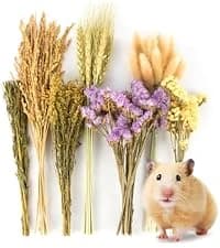 Natural Organic Apple Sticks - 250g Chew Sticks for Small Animals — collection imagery