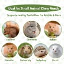 240g Rabbit Chew Sticks - Natural Sweet Bamboo Chew for Small Animals