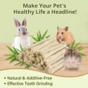 240g Rabbit Chew Sticks - Natural Sweet Bamboo Chew for Small Animals