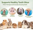 240g Rabbit Chew Sticks - Natural Sweet Bamboo Chew for Small Animals