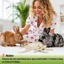 240g Rabbit Chew Sticks - Natural Sweet Bamboo Chew for Small Animals