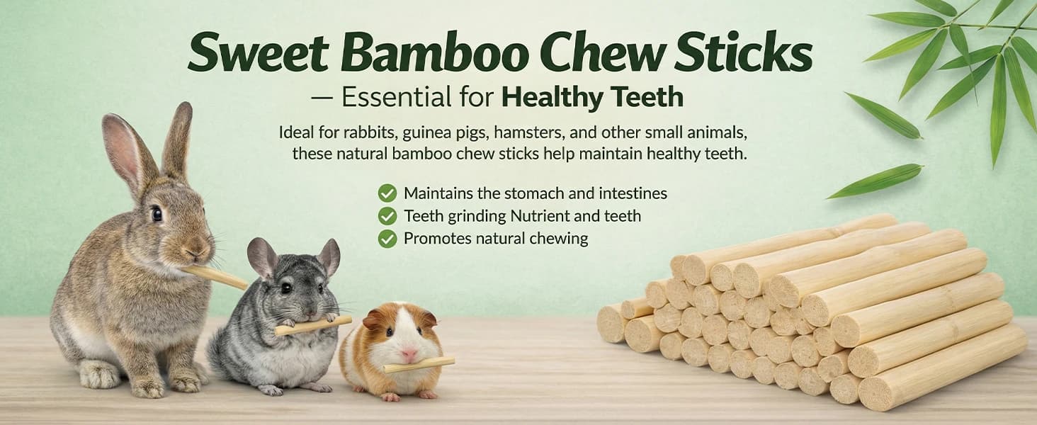 240g Rabbit Chew Sticks - Natural Sweet Bamboo Chew for Small Animals — product details