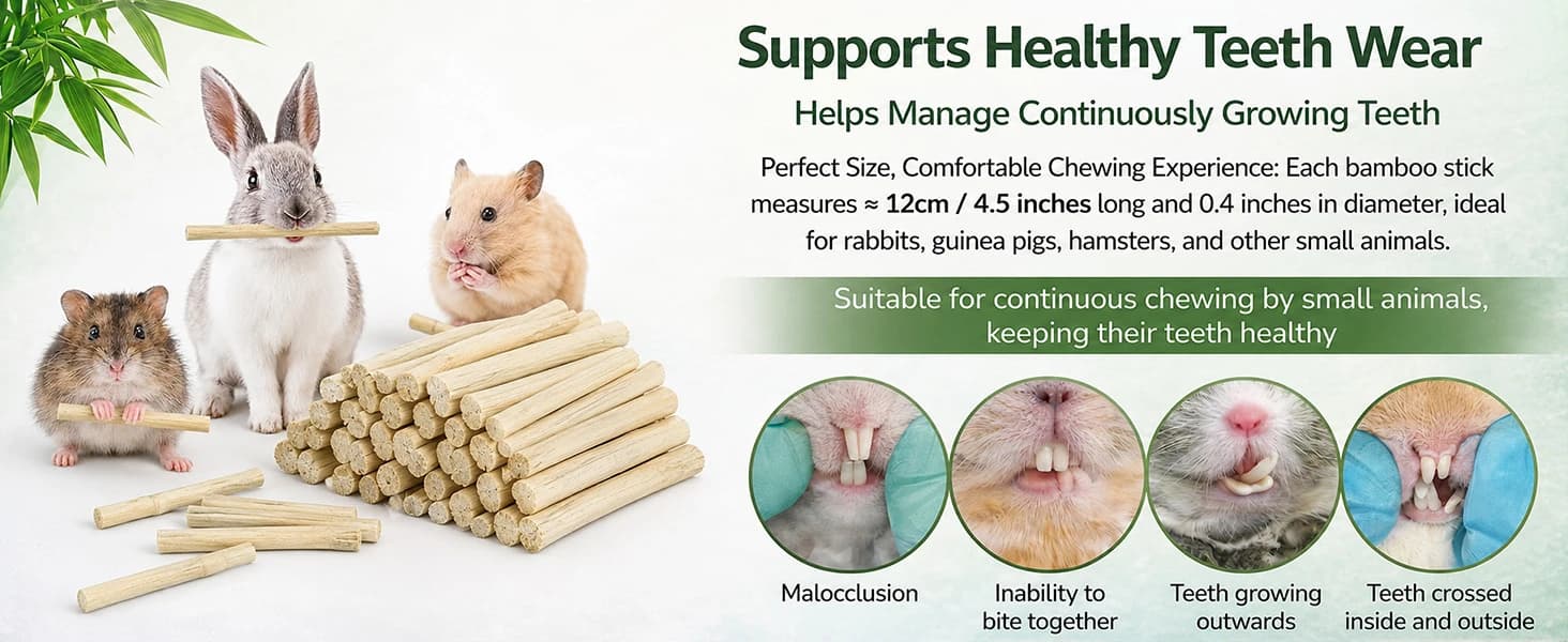 240g Rabbit Chew Sticks - Natural Sweet Bamboo Chew for Small Animals — product details