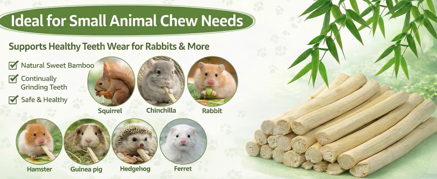 240g Rabbit Chew Sticks - Natural Sweet Bamboo Chew for Small Animals — product details