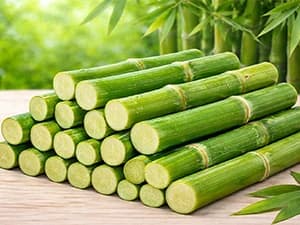 240g Rabbit Chew Sticks - Natural Sweet Bamboo Chew for Small Animals — Made from Natural Sweet Bamboo