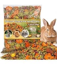 240g Rabbit Chew Sticks - Natural Sweet Bamboo Chew for Small Animals — collection imagery