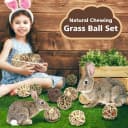 Bunny Rabbit Chew Grass Balls — Rolling Chew Toys for Small Animals (8 Pcs)