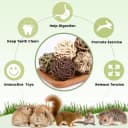 Bunny Rabbit Chew Grass Balls — Rolling Chew Toys for Small Animals (8 Pcs)