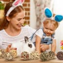 Bunny Rabbit Chew Grass Balls — Rolling Chew Toys for Small Animals (8 Pcs)