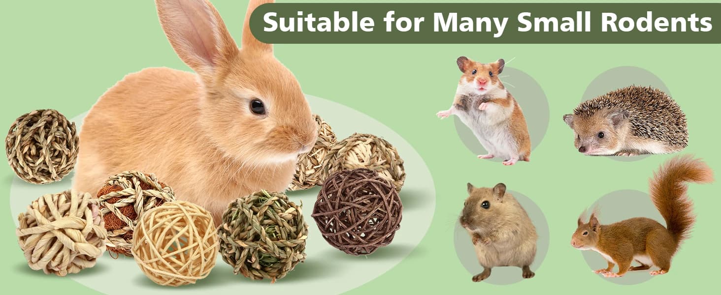 Bunny Rabbit Chew Grass Balls — Rolling Chew Toys for Small Animals (8 Pcs) — product details