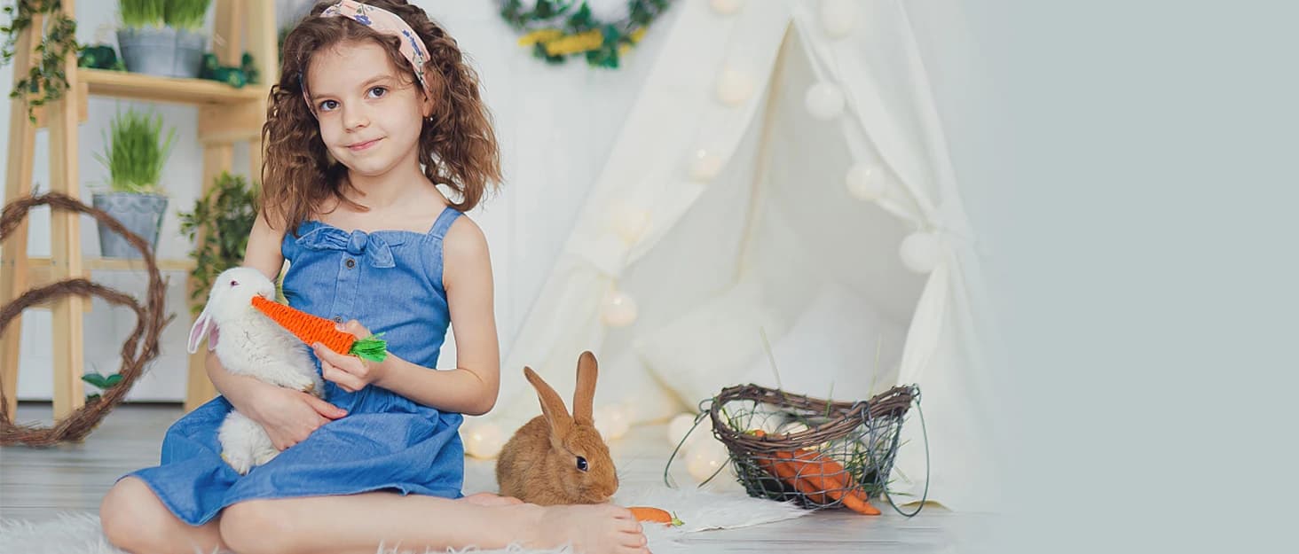Bunny Rabbit Chew Grass Balls — Rolling Chew Toys for Small Animals (8 Pcs) — collection imagery