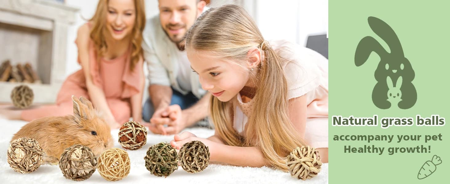 Bunny Rabbit Chew Grass Balls — Rolling Chew Toys for Small Animals (8 Pcs) — product details