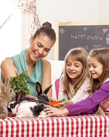 Bunny Rabbit Chew Grass Balls — Rolling Chew Toys for Small Animals (8 Pcs) — collection imagery