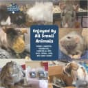 Chews, 100% All Natural Flavoured Balsa Wood for Rabbit Hamster Guinea Pig Chinchilla Pet Rat Mice Gerbil Bird