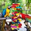 Extra Large Natural Wood Bird Toys for Macaws — African Grey