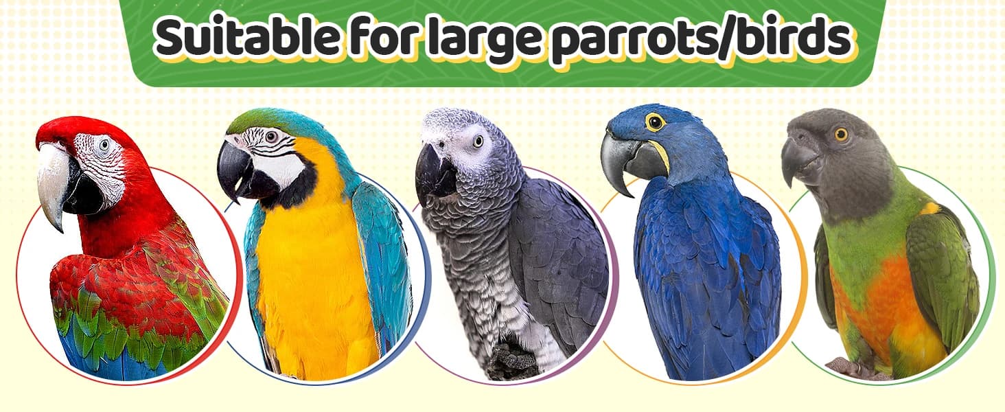 Extra Large Natural Wood Bird Toys for Macaws — African Grey — product details