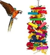 Extra Large Natural Wood Bird Toys for Macaws — African Grey — collection imagery