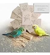 Bird Toys Chew Toys 100% Natural - 10 Pack Balsa Wood Chips — collection imagery