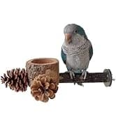 Bird Toys Chew Toys 100% Natural - 10 Pack Balsa Wood Chips — collection imagery