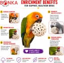 Bonka 1214 Pk3 2.25" Sola Atta Balls Bird Foot Chew Toy Small and Medium