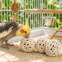 Bonka 1214 Pk3 2.25" Sola Atta Balls Bird Foot Chew Toy Small and Medium