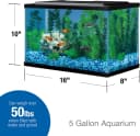 5.5 Gallon Glass Aquarium — Rectangular Fish Tank