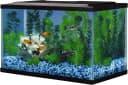 5.5 Gallon Glass Aquarium — Rectangular Fish Tank